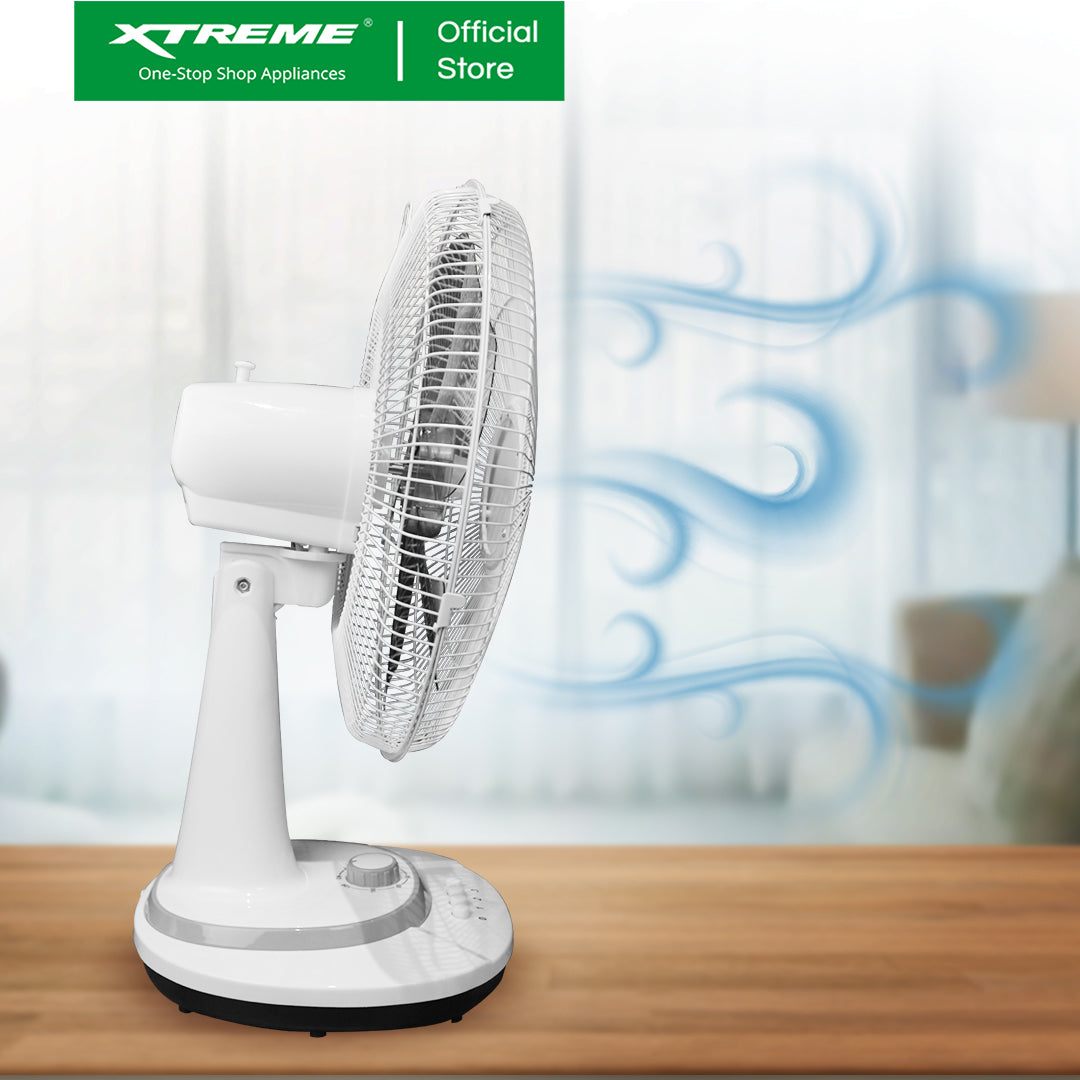 XTREME HOME 16 inches Desk Fan 3-Speed with Timer (Gray Blade) | XH-EF-DF16GRAY