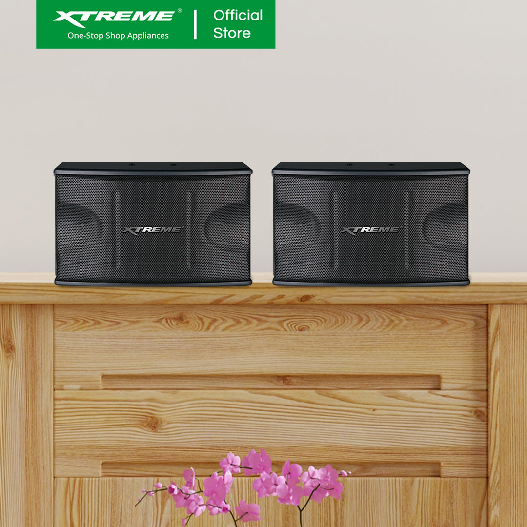 250W X-Series Speaker (XK-250X)