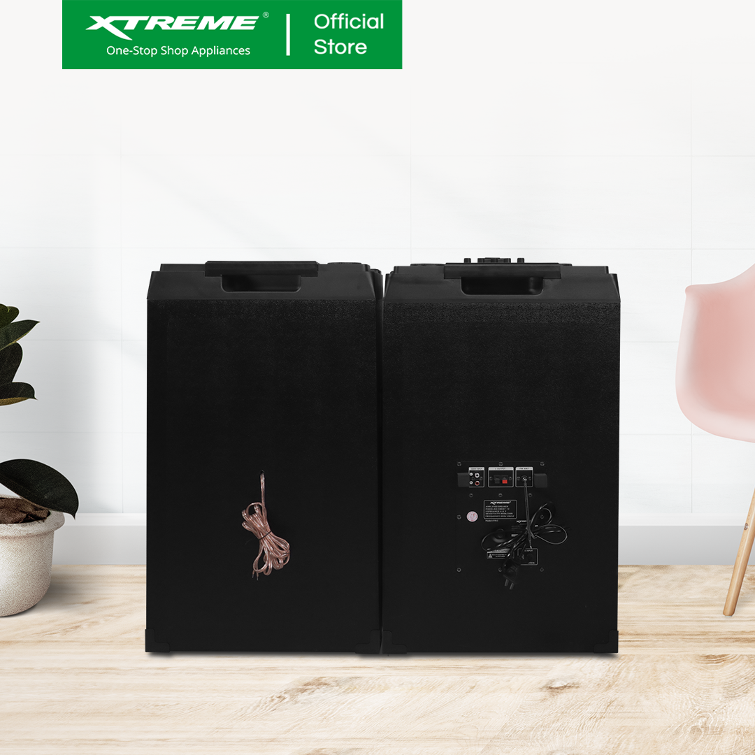 XTREME 650Wx2 Amplified Speaker FM USB SD Card | XBEAT-15
