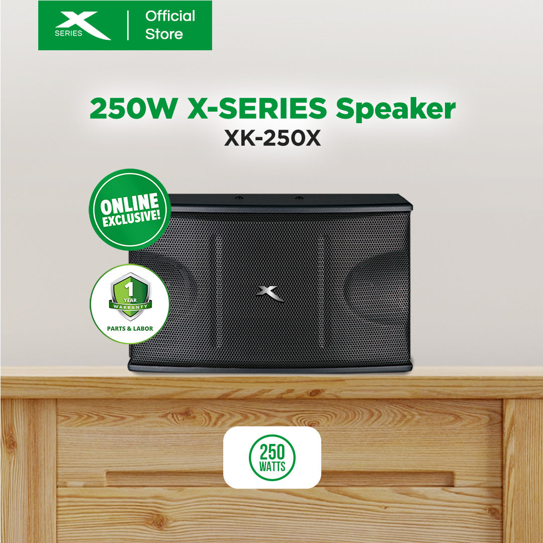 250W X-Series Speaker (XK-250X)