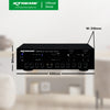 XTREME 700W Amplifier 35kHz-20kHz-FR 8-Rated Impedance 3”x2-Treble 12